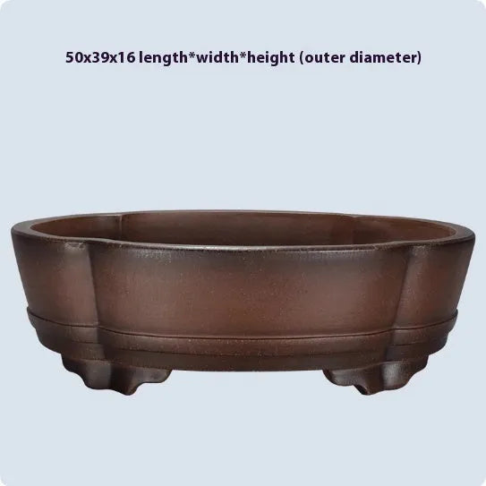 Large classical purple clay bonsai pot with simple green plant styling.