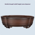 Large classical purple clay bonsai pot with simple green plant styling.