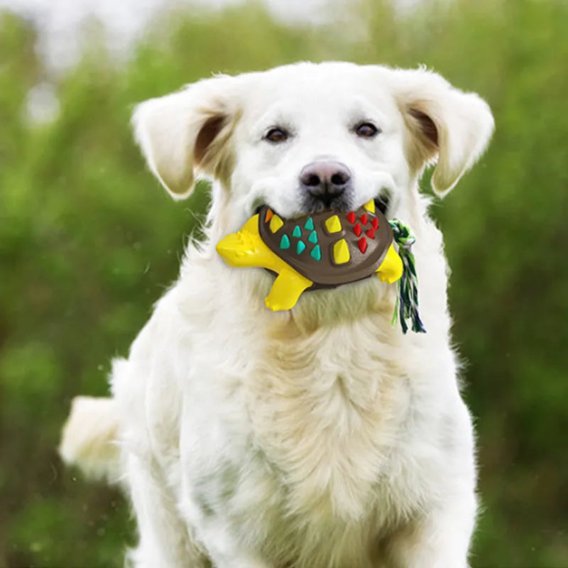 Natural rubber dog toothbrush chew toy with dinosaur knot tail in grey and blue colours.