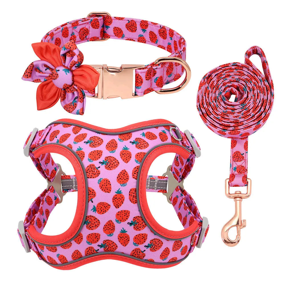 Small dog collar and lead set in polyester with collar, tow rope and strap, adjustable, blue green red yellow, sizes S M L