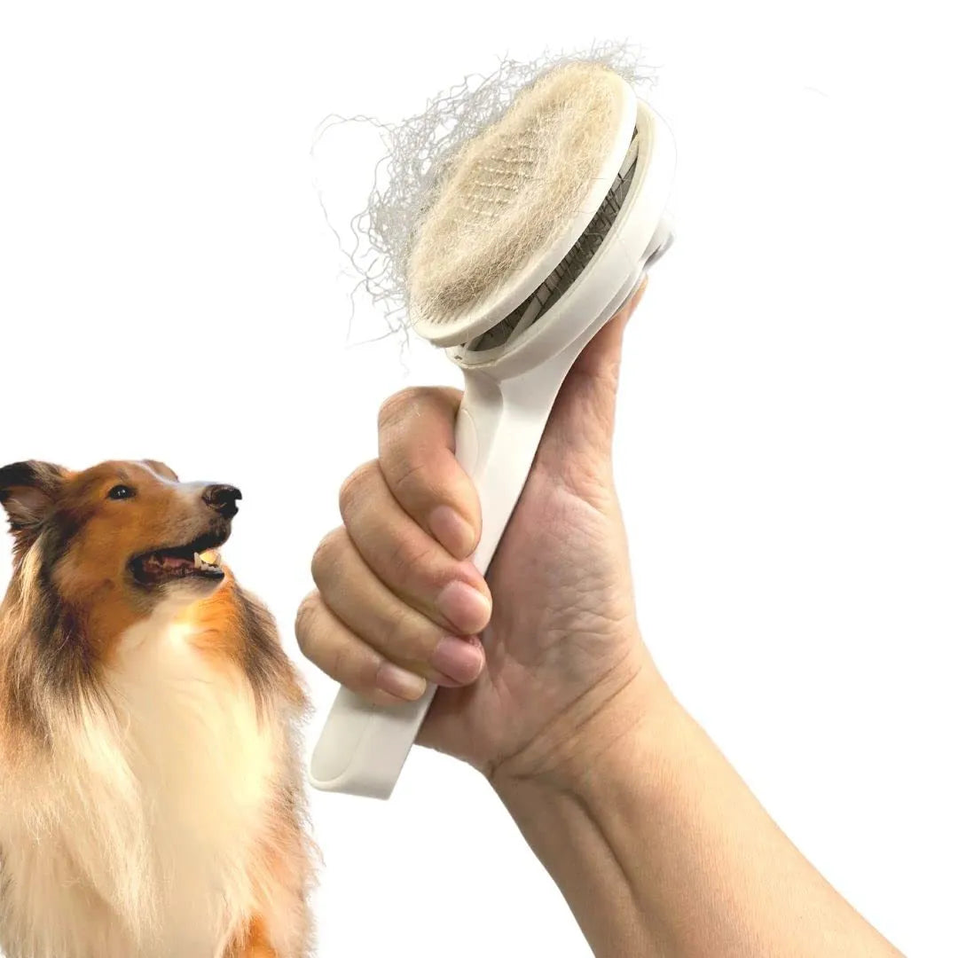Self-cleaning slicker brush for dogs and cats with blue rubber handle and stainless steel pins