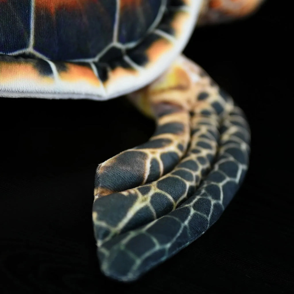 Brown turtle plush toy 32cm from mouth to tail with soft plush fabric and PP cotton filling