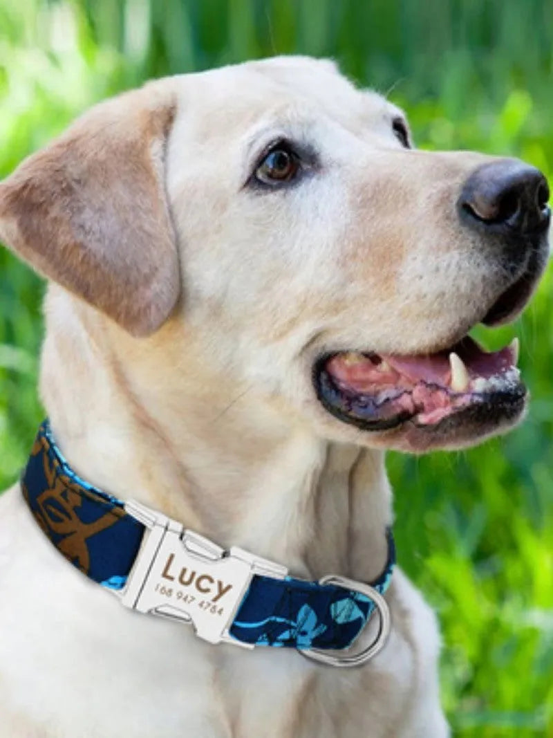 Adjustable dog collar with metal buckle in black, green, or rose red
