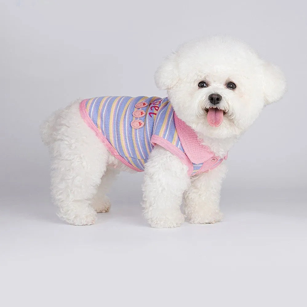 Pink purple lightweight mesh autumn vest for small dog or cat showing size range options
