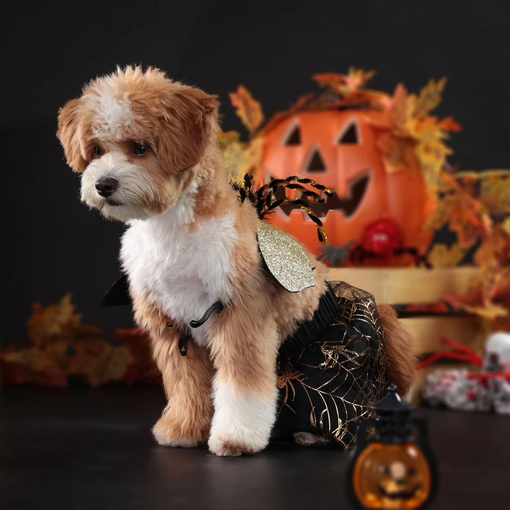 Halloween dog costume suit in polyester material showing size options