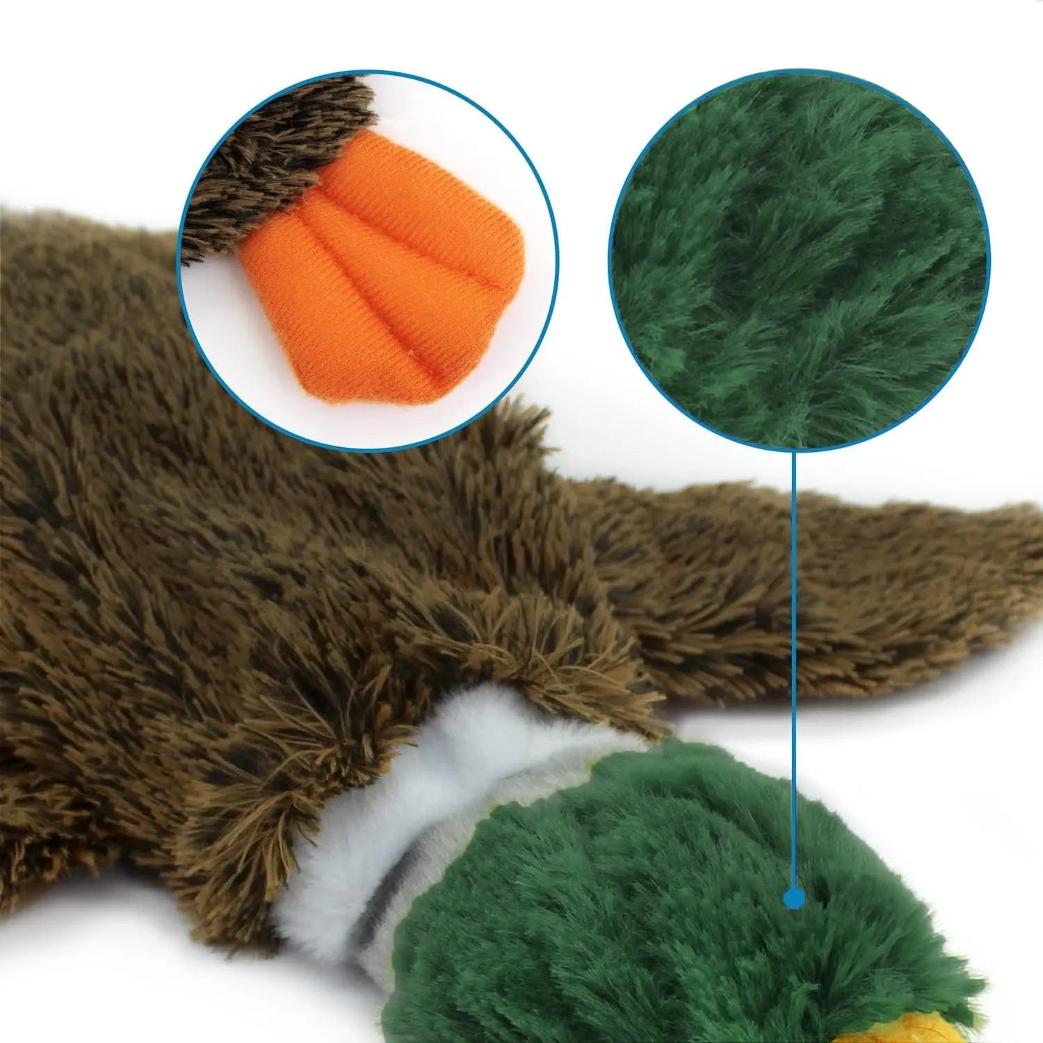 Green Wild Duck stuffless dog toy with squeakers, showing cavity for plastic bottle.