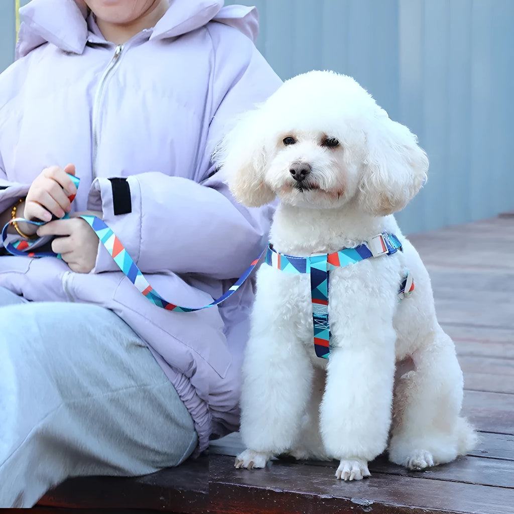 Blue polyester dog harness vest connected to a matching haulage rope on a grassy background.