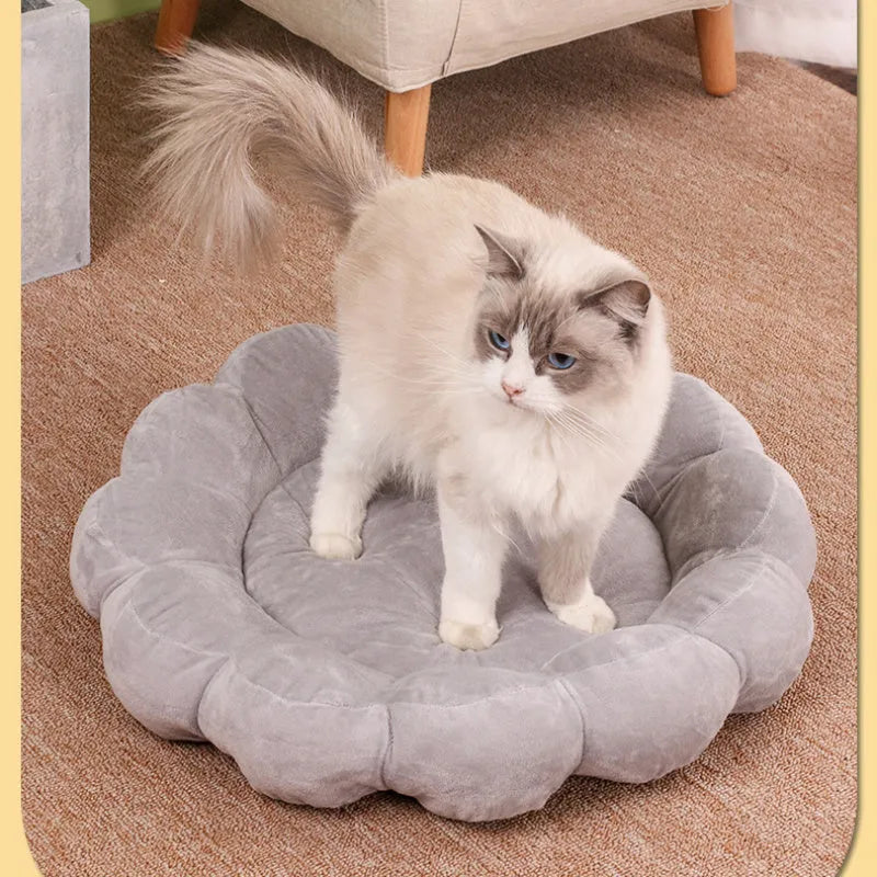 50x50cm double-sided plush pet bed with half-surrounded design in multi-colour petal pattern