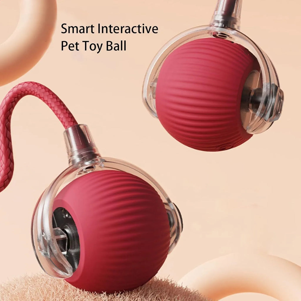 Automatic rolling ball toy for dogs and cats with hanging rope in red colour