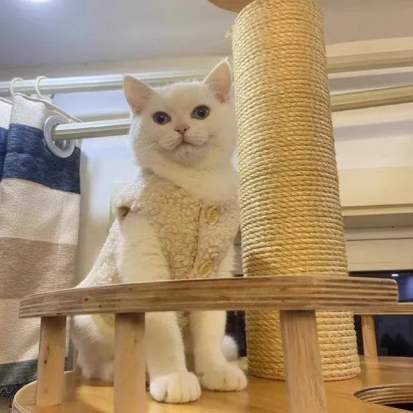 Apricot polar fleece cat winter vest shown on feline model with size chart