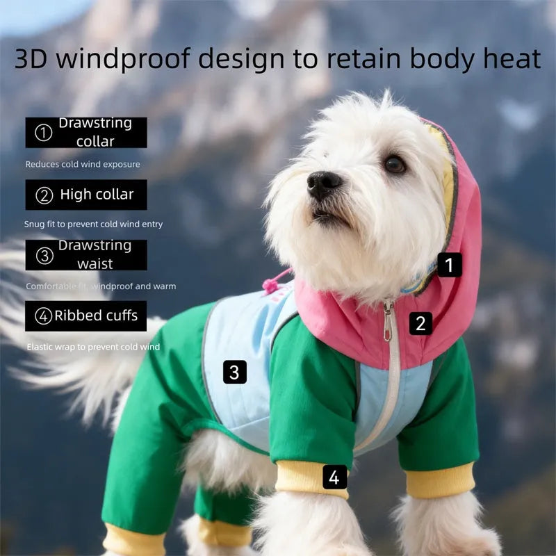 Waterproof 4-leg dog jumpsuit with hood in blue on a dog, reflective details visible