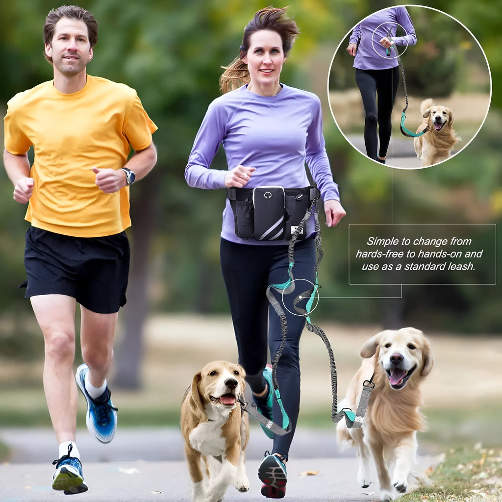 Black nylon dog walking set including waist bag and adjustable leash with collar for outdoor training