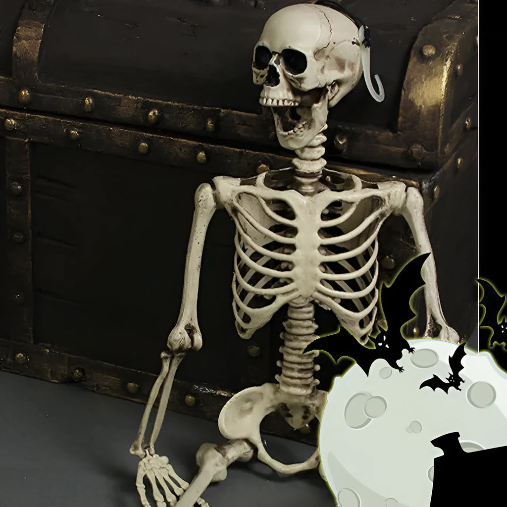 Full-size 170 cm plastic skeleton prop with realistic anatomical bone structure details