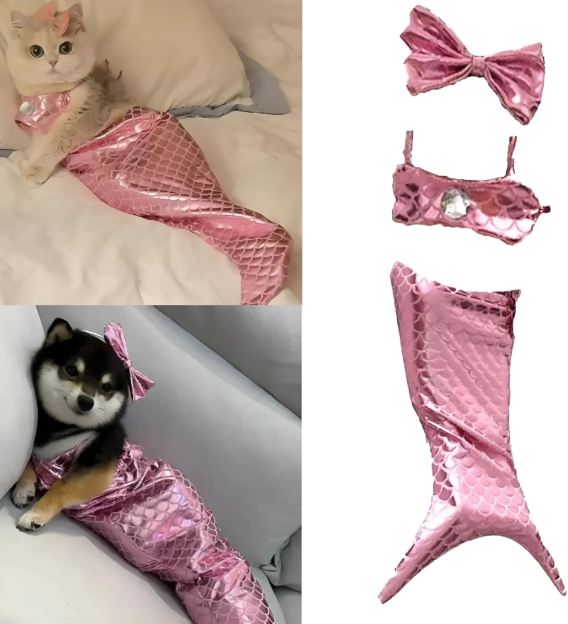 Blue pet mermaid costume with scale pattern and fish tail on a small cat.
