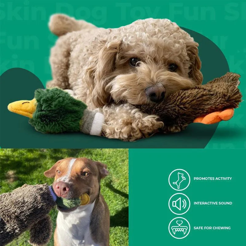 Green Wild Duck stuffless dog toy with squeakers, showing cavity for plastic bottle.