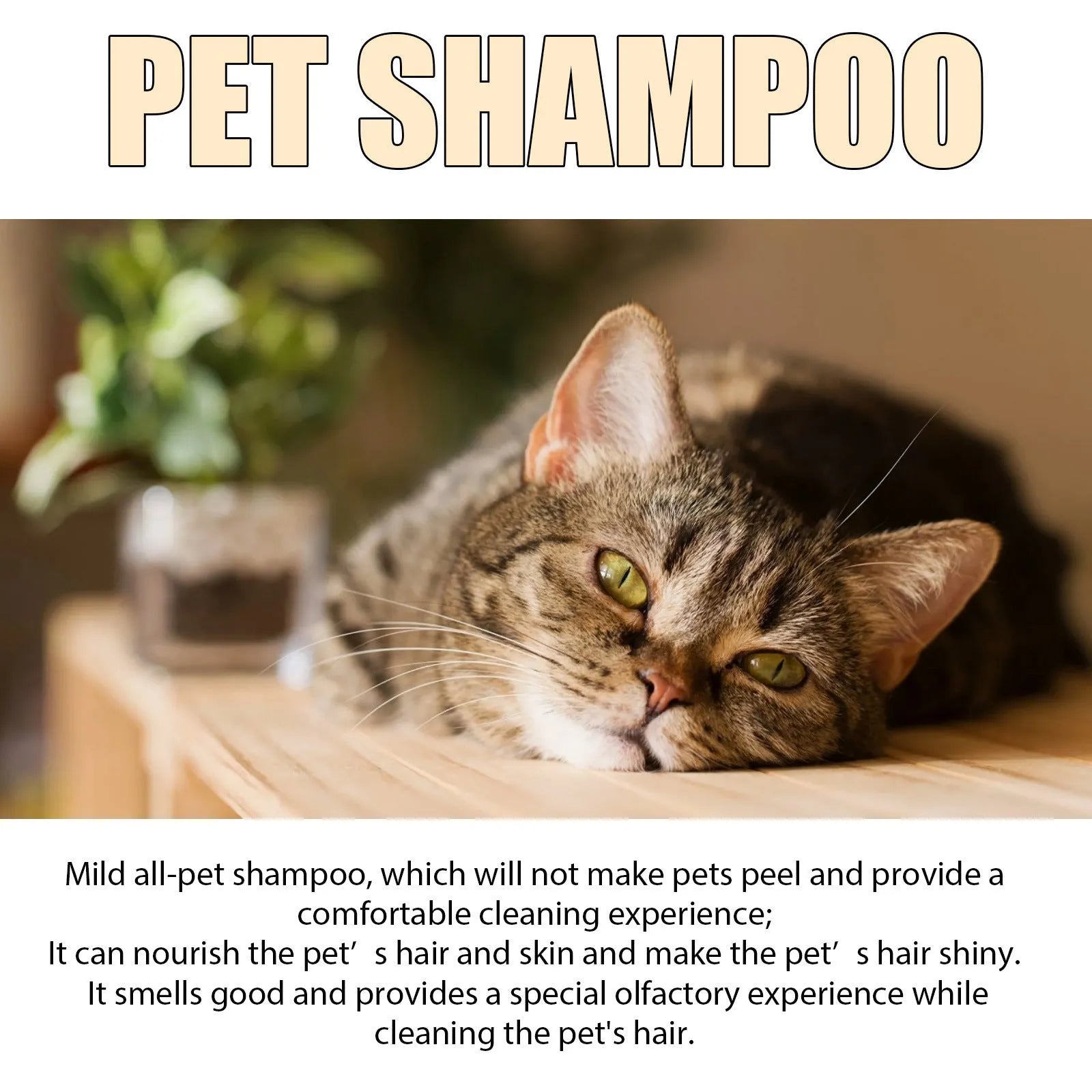 Bottle of mild pet shampoo for dogs and cats, showing 100ml and 300ml size options.