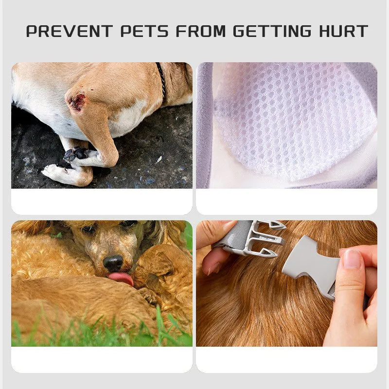 Blue adjustable dog knee protector wrap with a matching scarf on a medium-sized dog