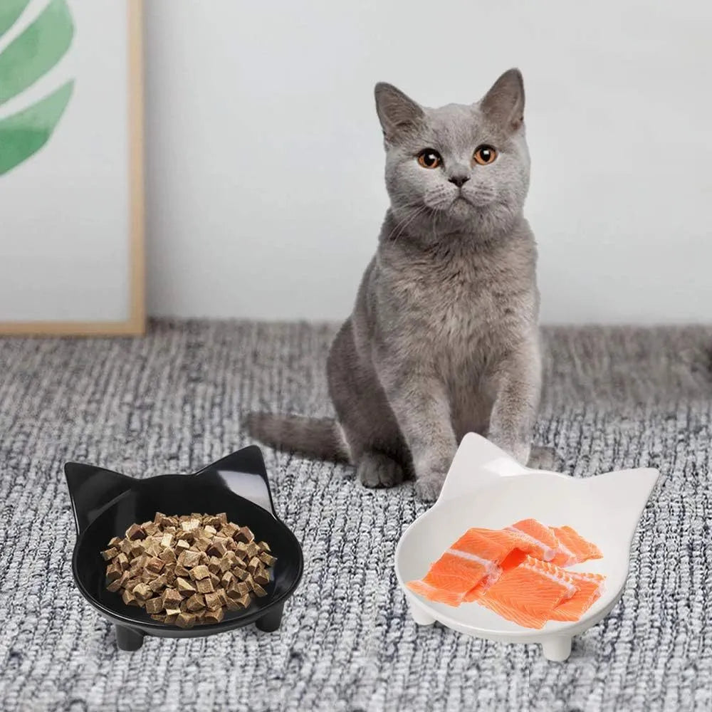 White shallow melamine cat bowl with non-slip rubber base on a table.