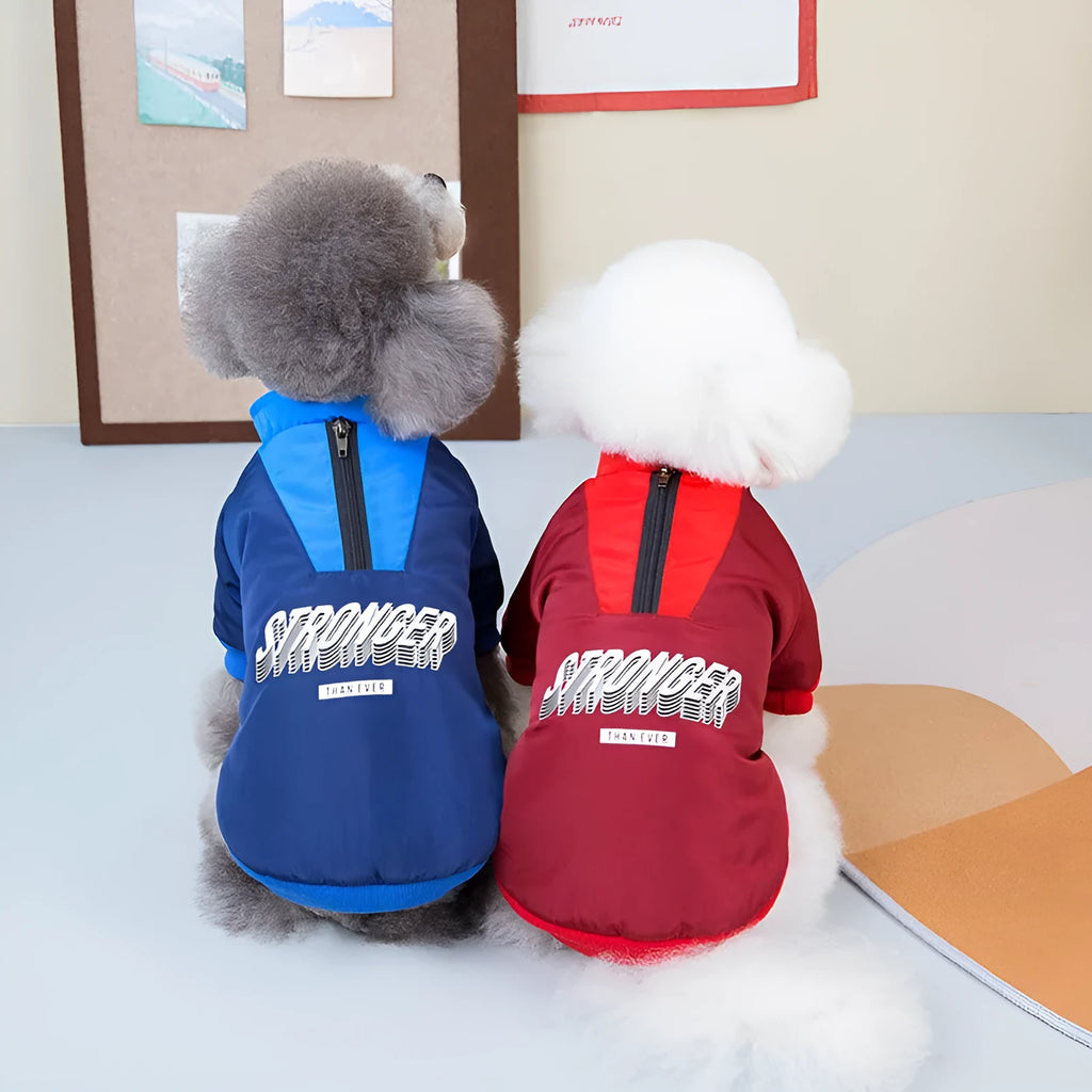 Red V-spliced winter coat on dog showing thick fabric construction and casual styling