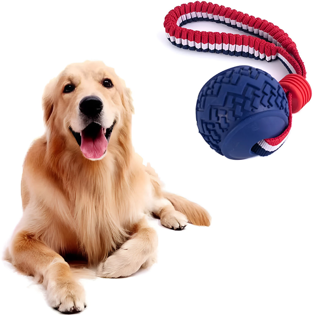 Blue dog ball with rope toy showing textured rubber surface and rope attachment