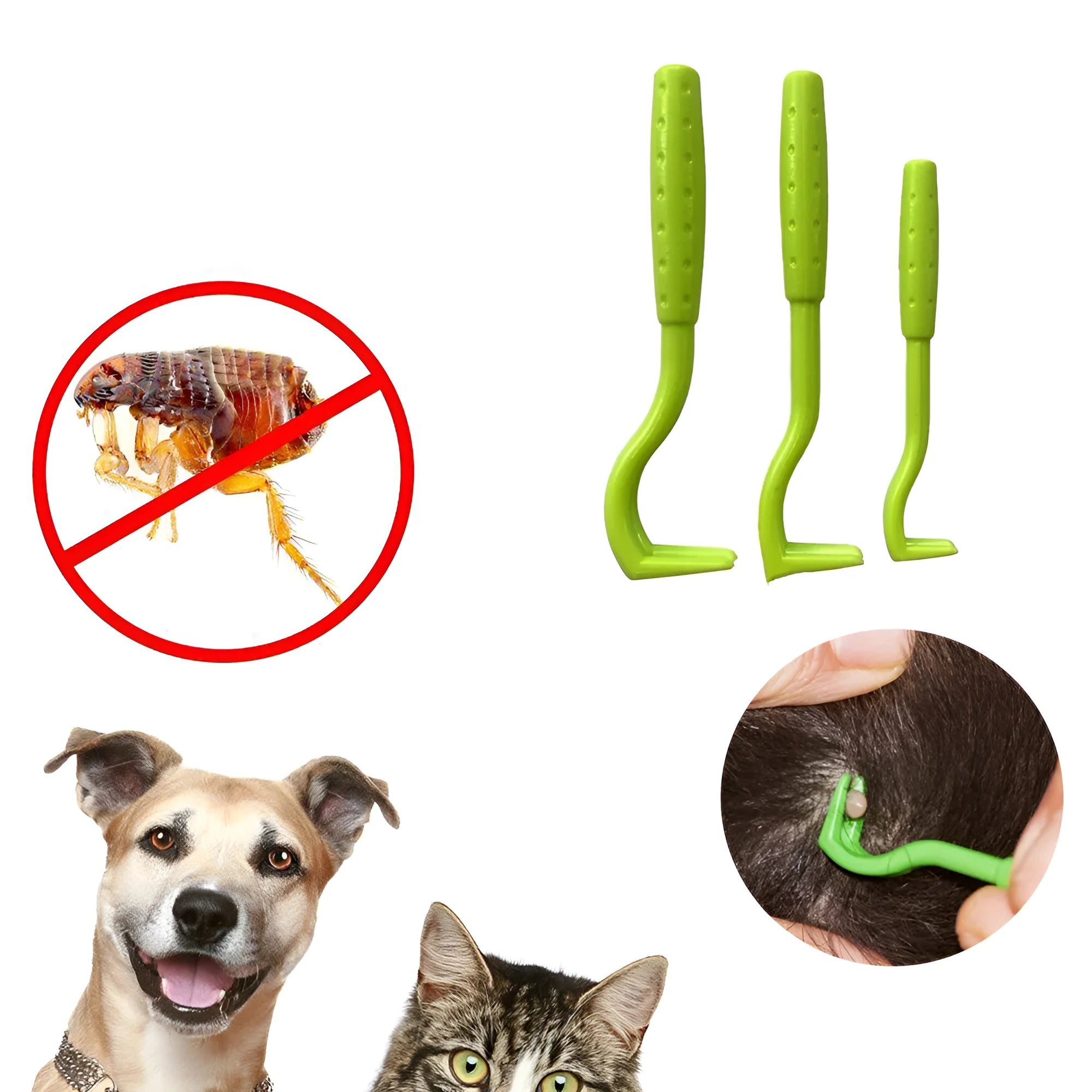 Three plastic tick removal hook tools for pets in blue and green colours