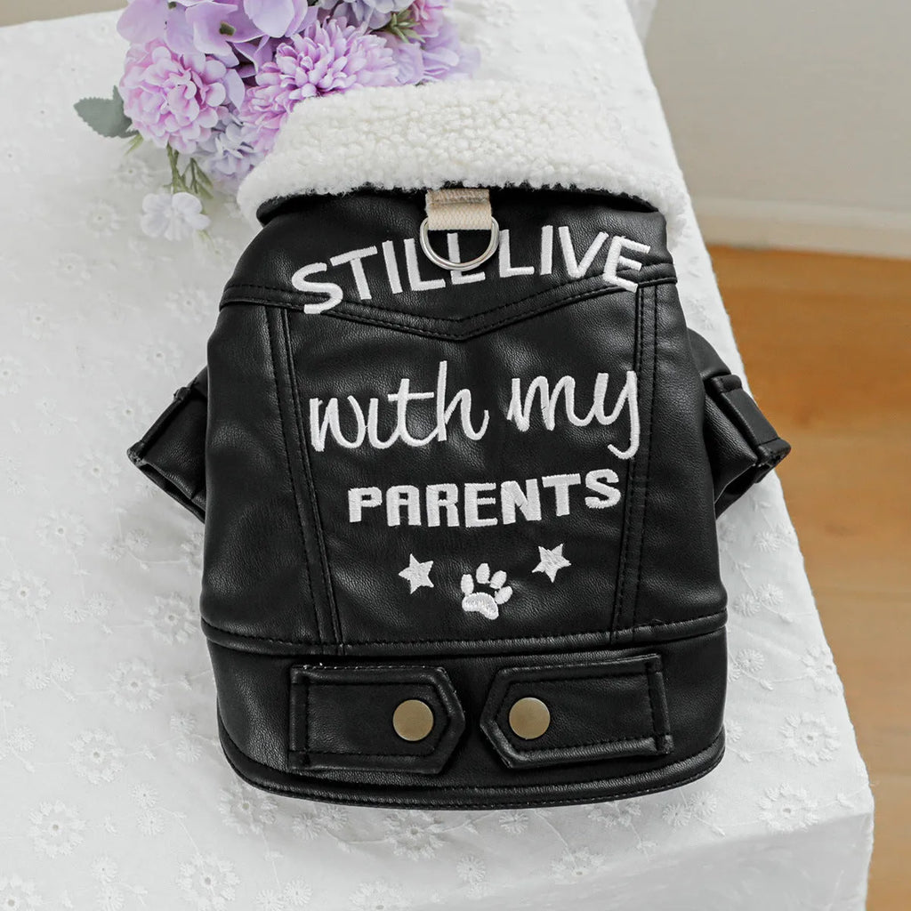 Dog wearing fleece lined padded coat with large fur trim collar in black colour
