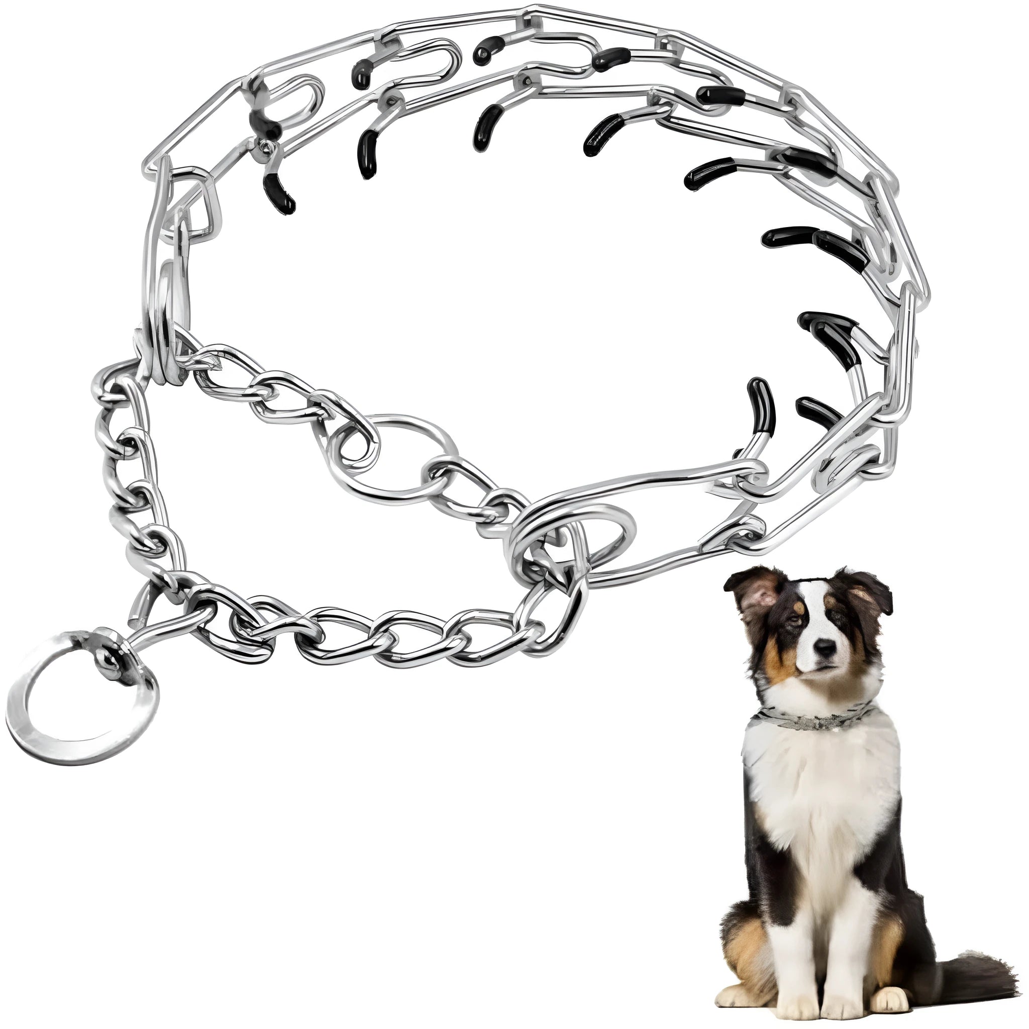 Stainless steel dog prong training collar with rubber tips showing adjustable chain links