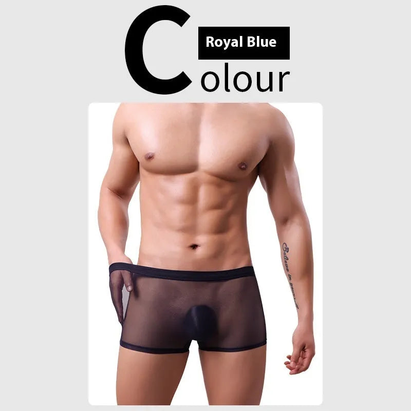Men's low-waist mesh boxer briefs in sheer polyester fabric, shown in multiple colours including sapphire blue and green.