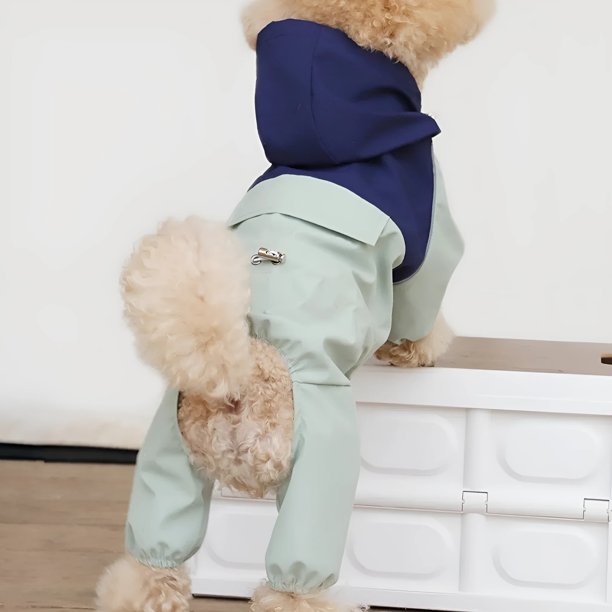 British style khaki waterproof dog jacket on a small breed dog, showing the shell design.