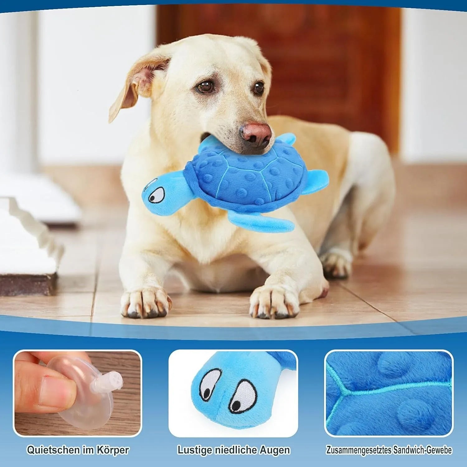 Blue green purple yellow sea turtle squeaky plush dog toy for small dogs on a white background.