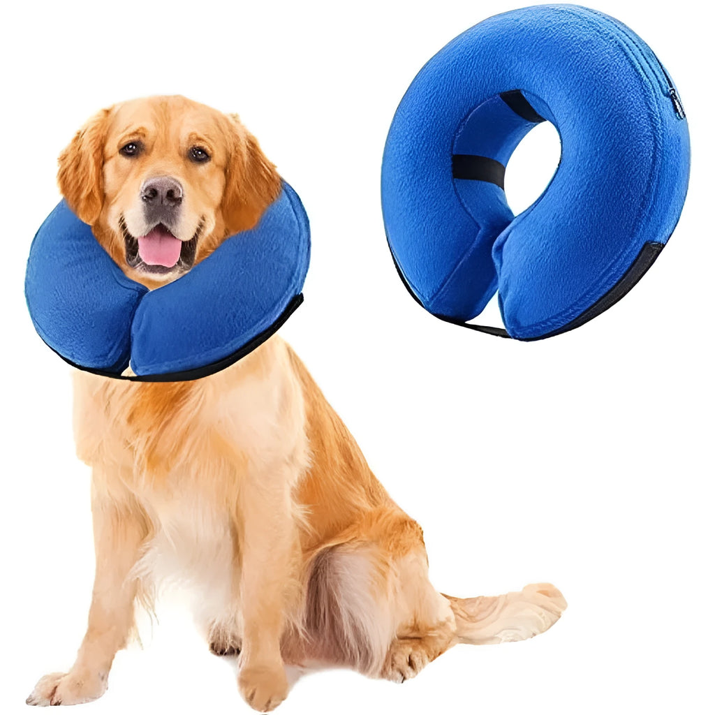 Blue inflatable protective recovery collar for a dog, showing soft padded ring and adjustable buckle strap.