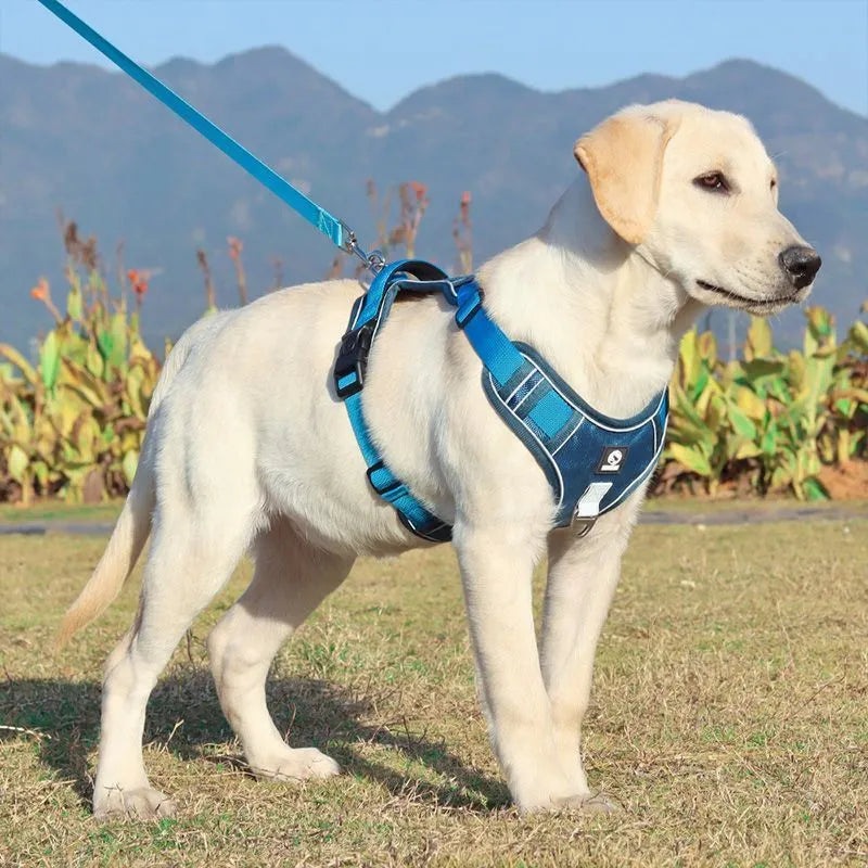 Explosion-proof cloth chest strap vest for medium large dogs in multiple colour options
