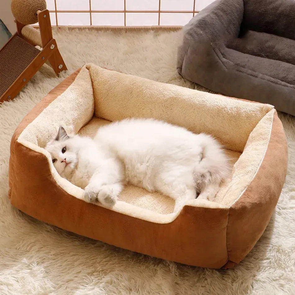 Short plush cat bed in chosen colour showing size options from 45x30cm to 80x60cm