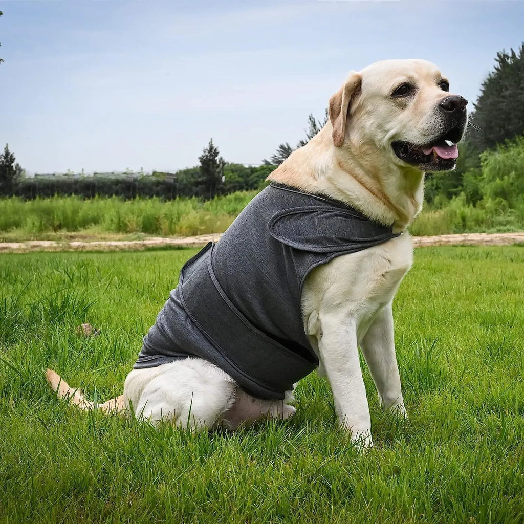 Classic dog anxiety jacket breathable thunder vest in grey for dogs, sizes XS to XXXL