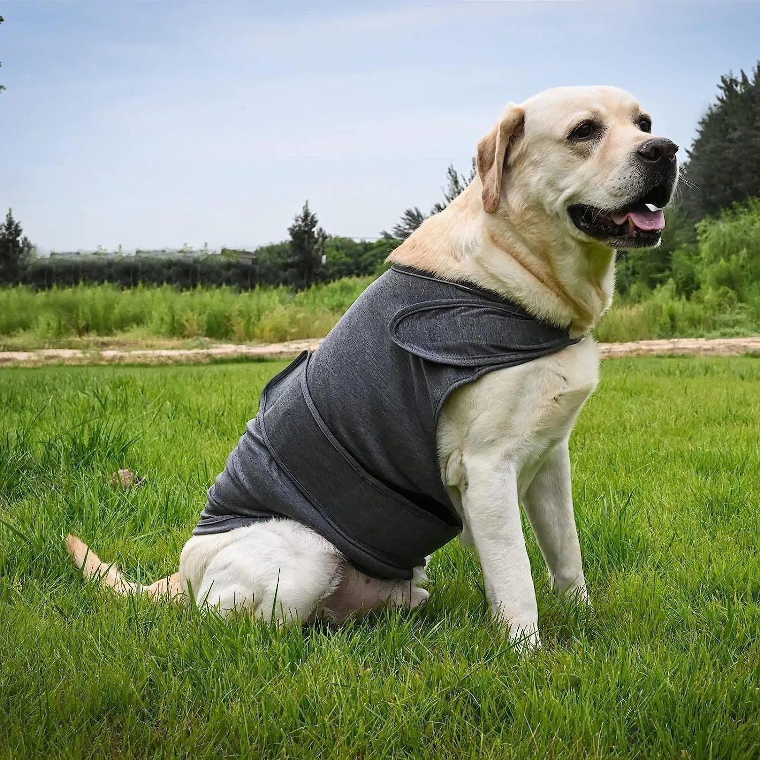 Classic dog anxiety jacket breathable thunder vest in grey for dogs, sizes XS to XXXL