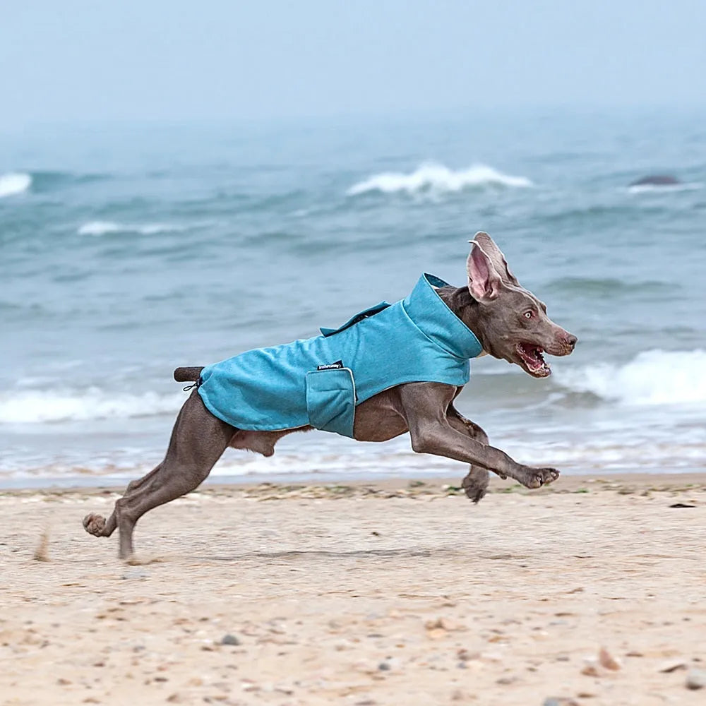 Grey polyester dog vest for medium large breeds on a dog, showing casual style and fit.