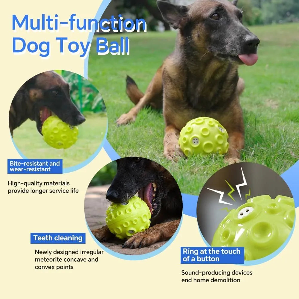Durable dog chew toy ball with coloured rubber surface featuring tooth-cleaning bumps