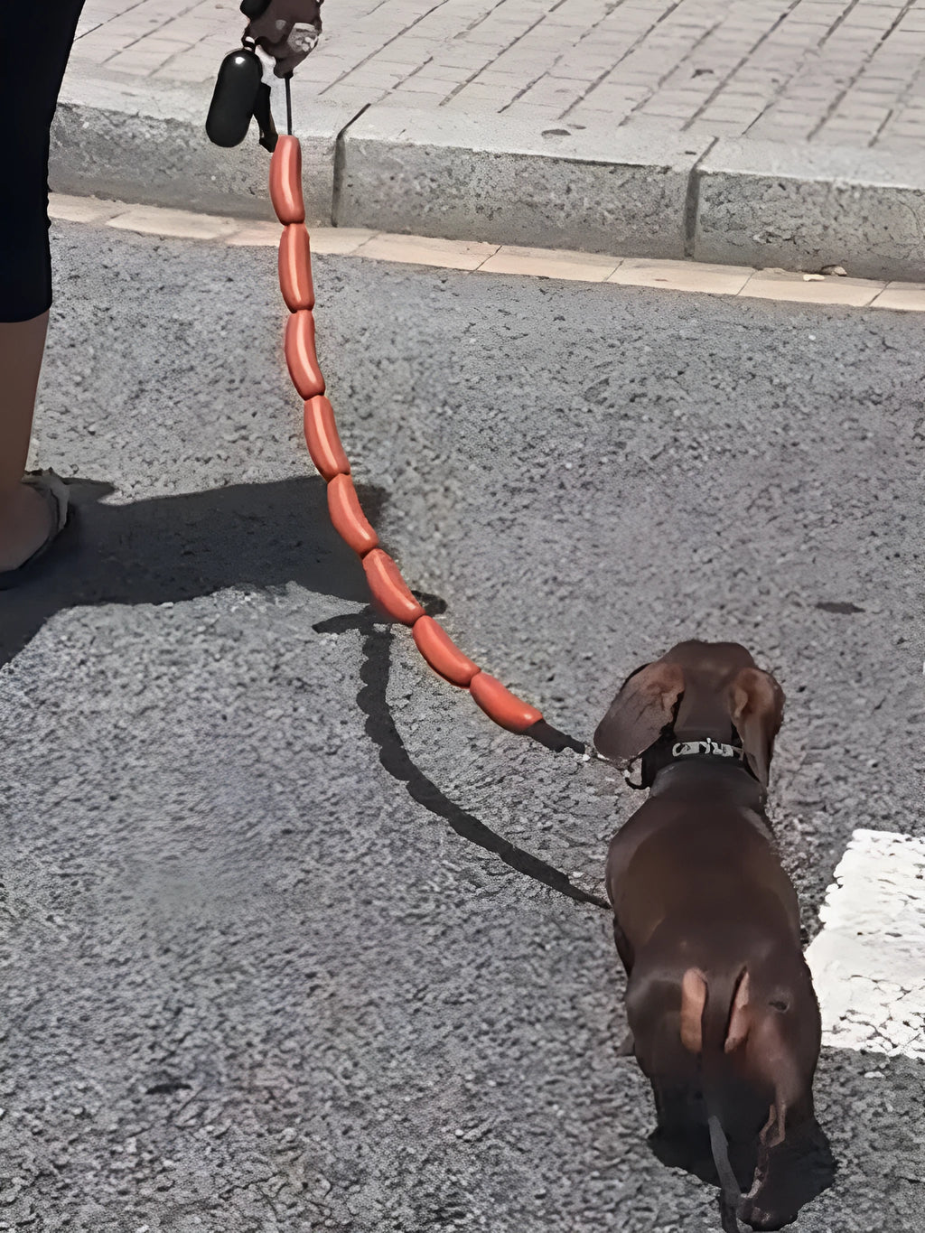 108cm thick rope dog traction chain lead with funny sausage design for small medium pets