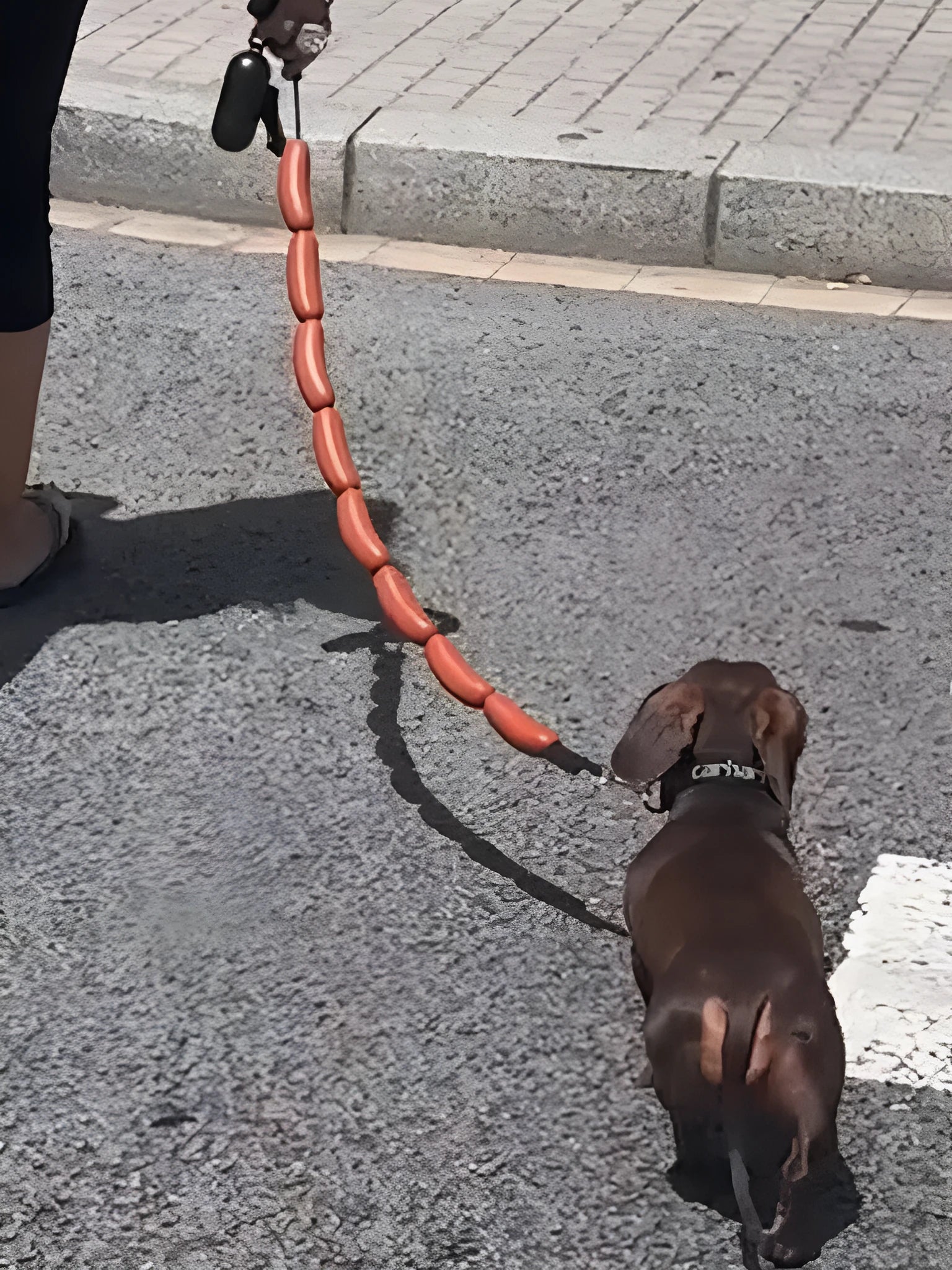 108cm thick rope dog traction chain lead with funny sausage design for small medium pets