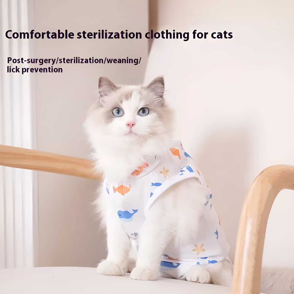 Cat wearing a blue polyester post-operative recovery suit with velcro fastenings on its back and neck.