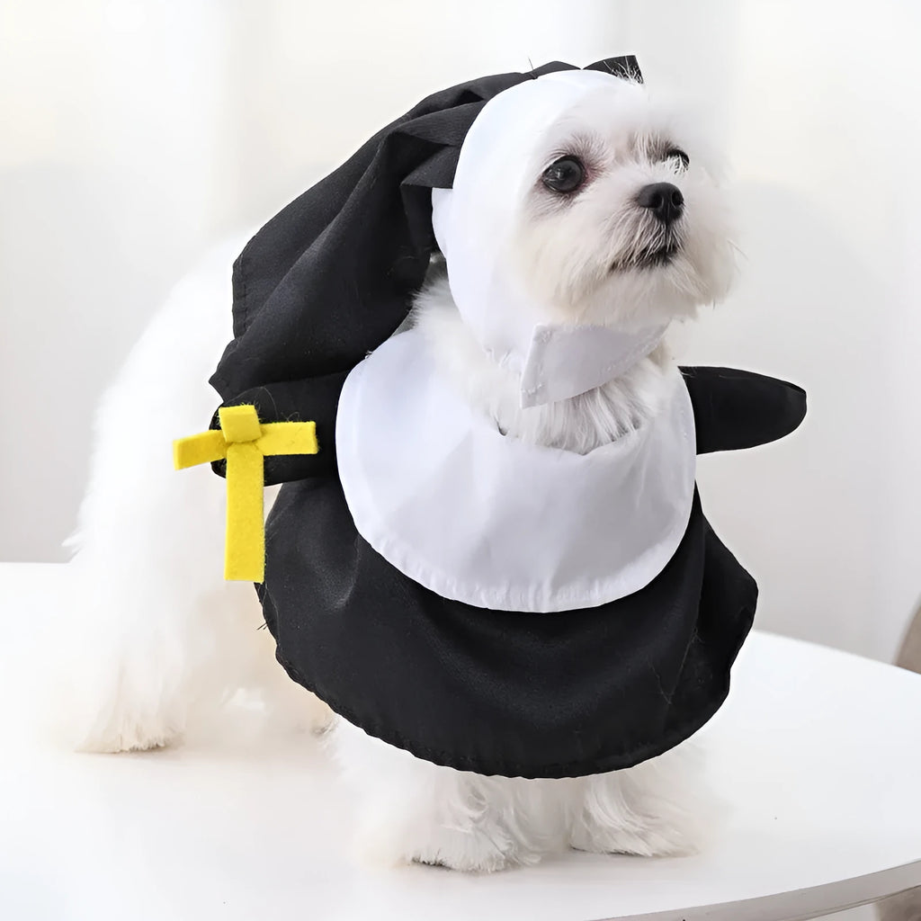 Black nun costume for pet Halloween dressing on dog or cat