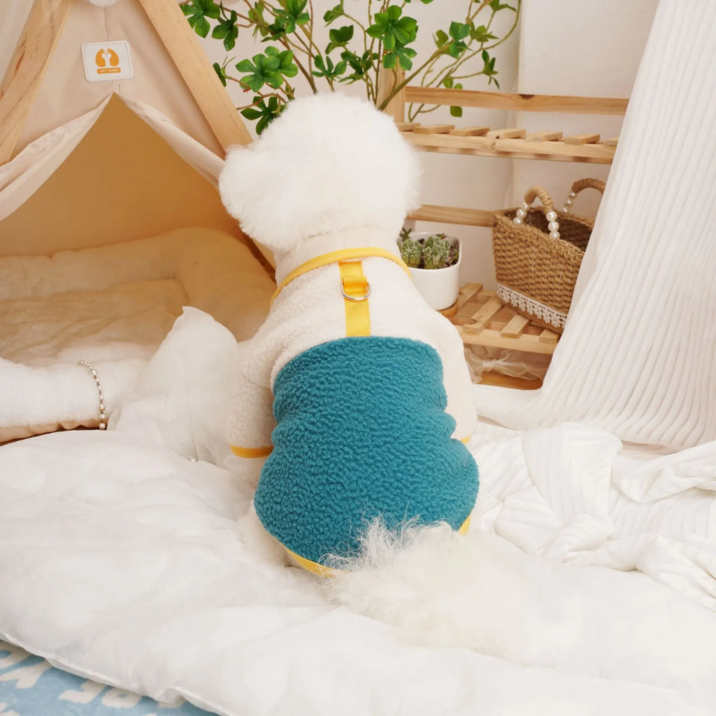 Lambswool pet sweatshirt in caramel colour on a dog, showing casual autumn winter clothing