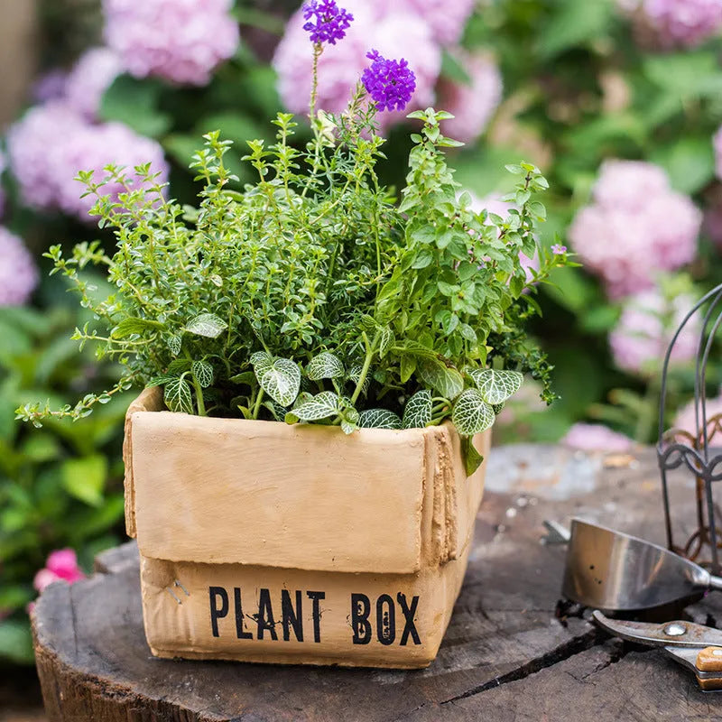 Cement flowerpot with bottom drainage holes in Nordic brown paper box design