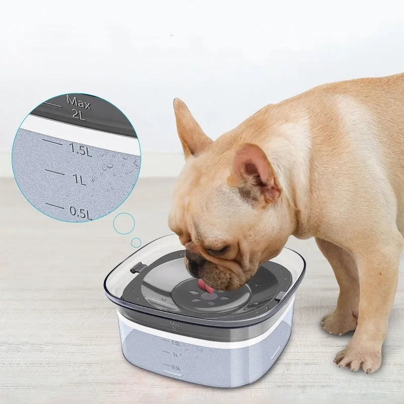 Transparent large 2-litre dog water bowl with floating slow drink disc on a non-slip base.