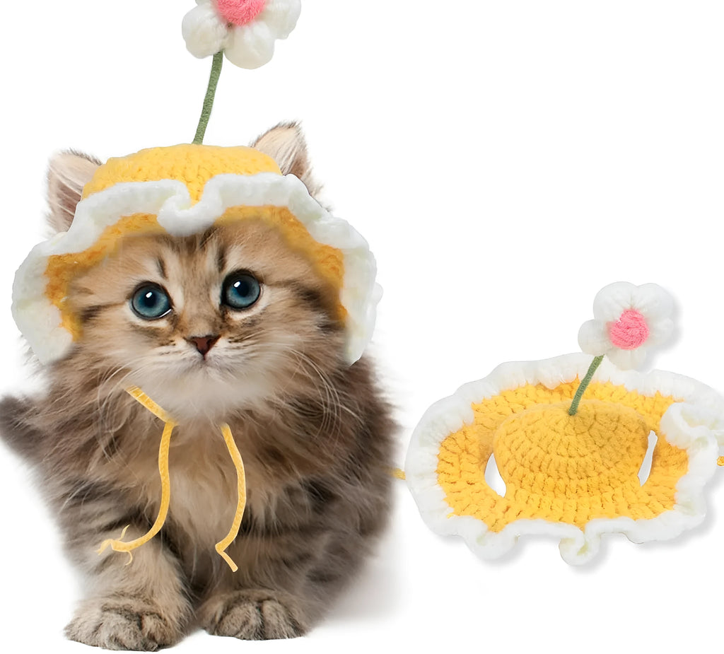 Knitted cartoon cat hat for small pets in green, pink, and yellow colours