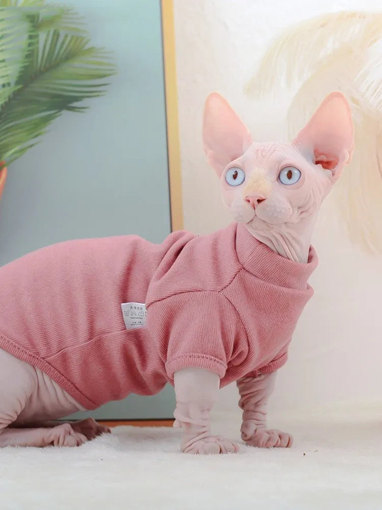 Hairless cat wearing a toothpick Dralon base sweater in cherry pink on a light background