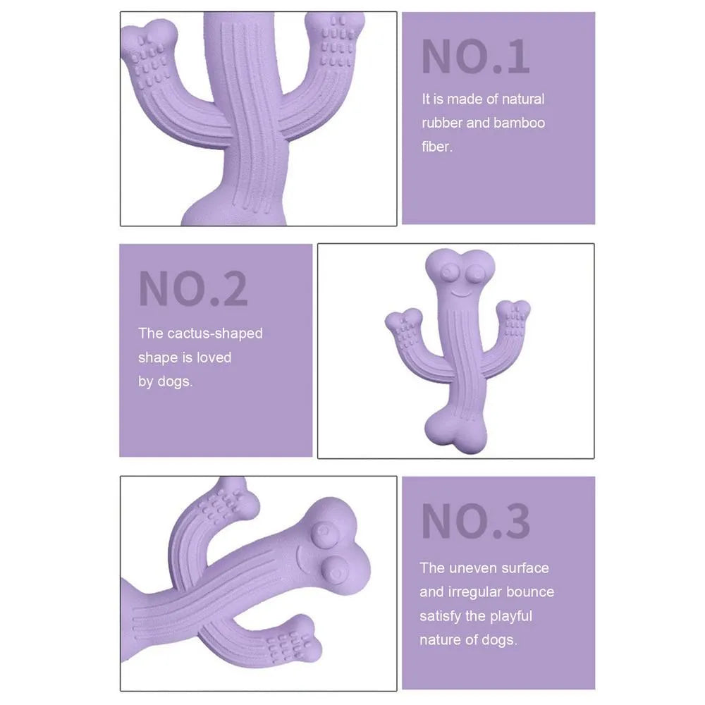 Cactus-shaped dog chew toy in bamboo fibre and rubber showing textured surface and cactus silhouette