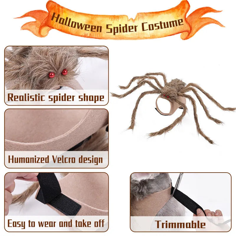 Halloween spider costume for pets on dog showing eight-legged design