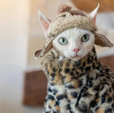 Fluffy leopard print short plush cat coat for hairless cats, sizes M to XL, warm pet apparel.