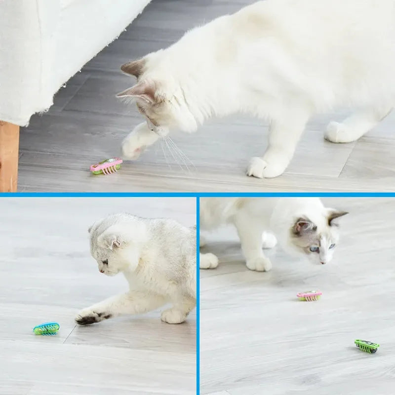 Electric ladybird bug cat toy with motorised walking motion and automatic flip feature